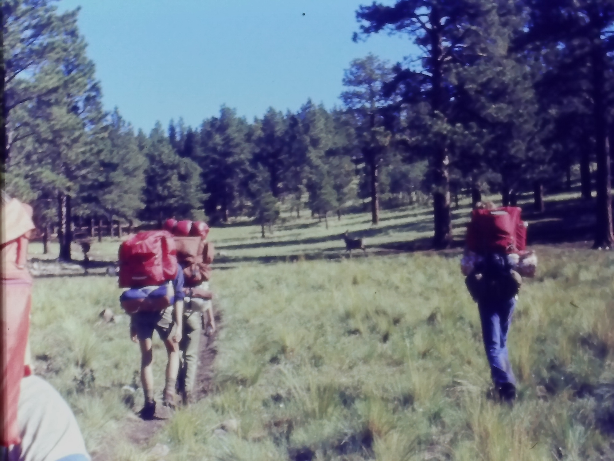 19740700_0683_troop552_philmont