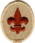 Scout 1969