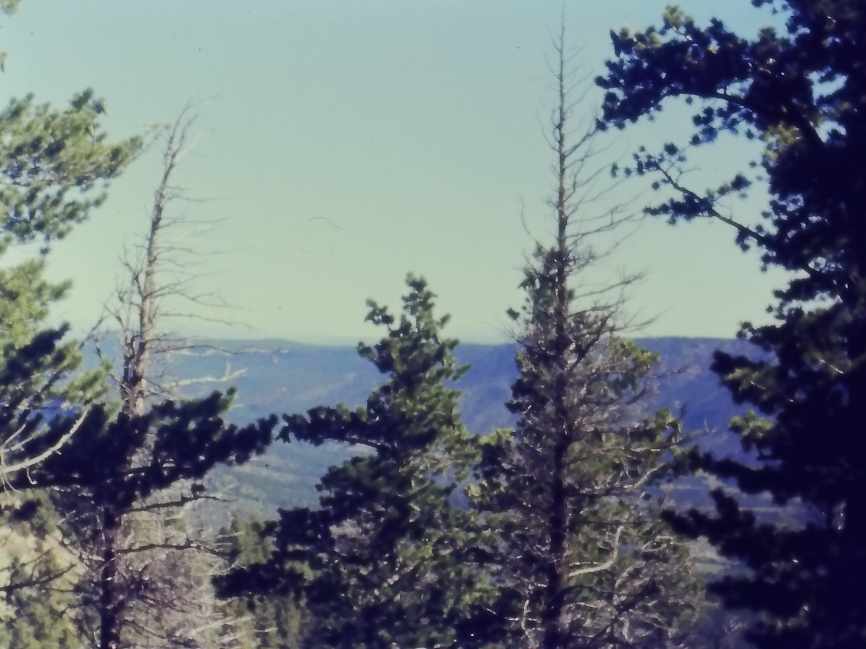 19740700_Philmont_imag0578