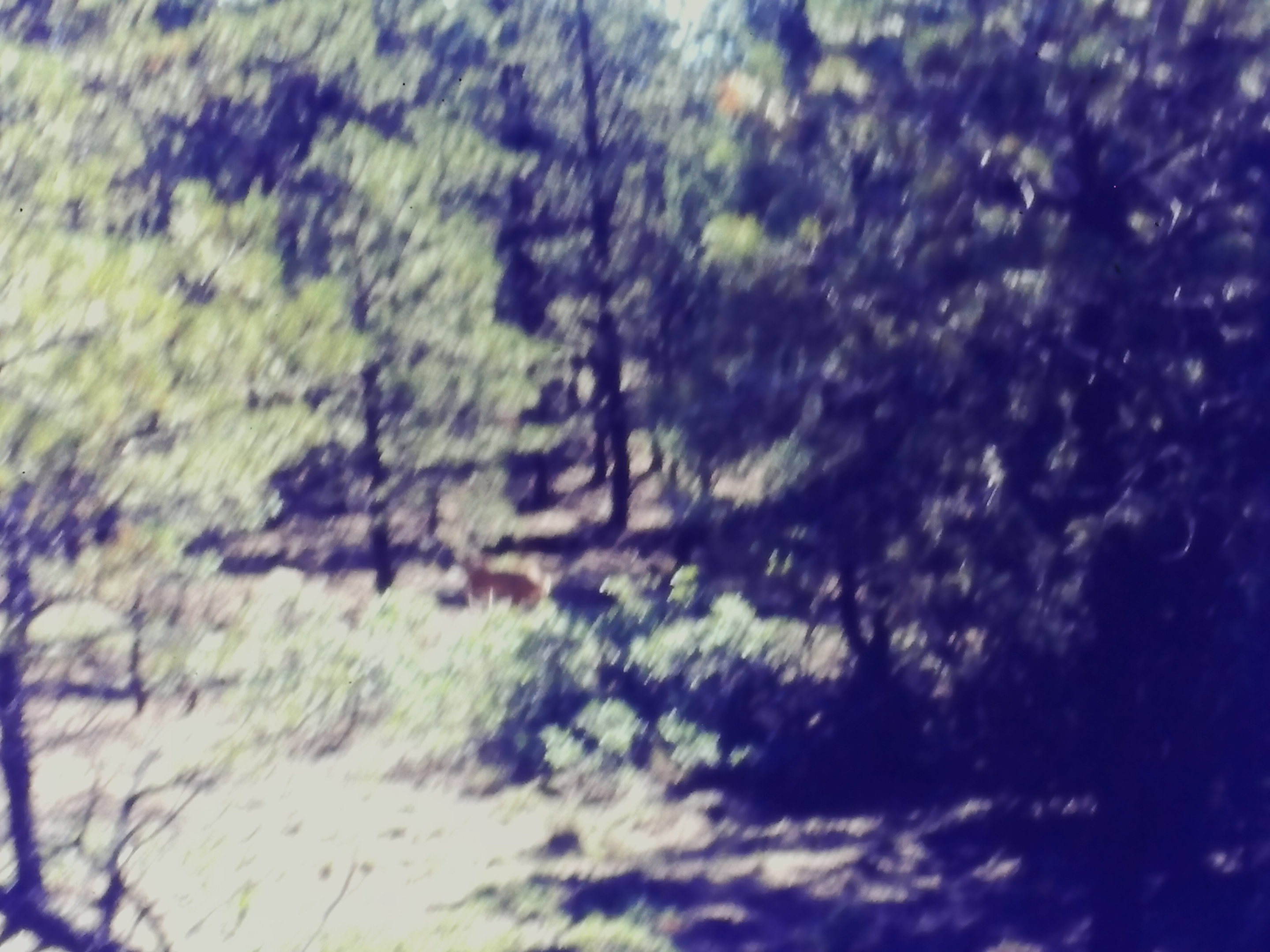 19740700_Philmont_imag0561