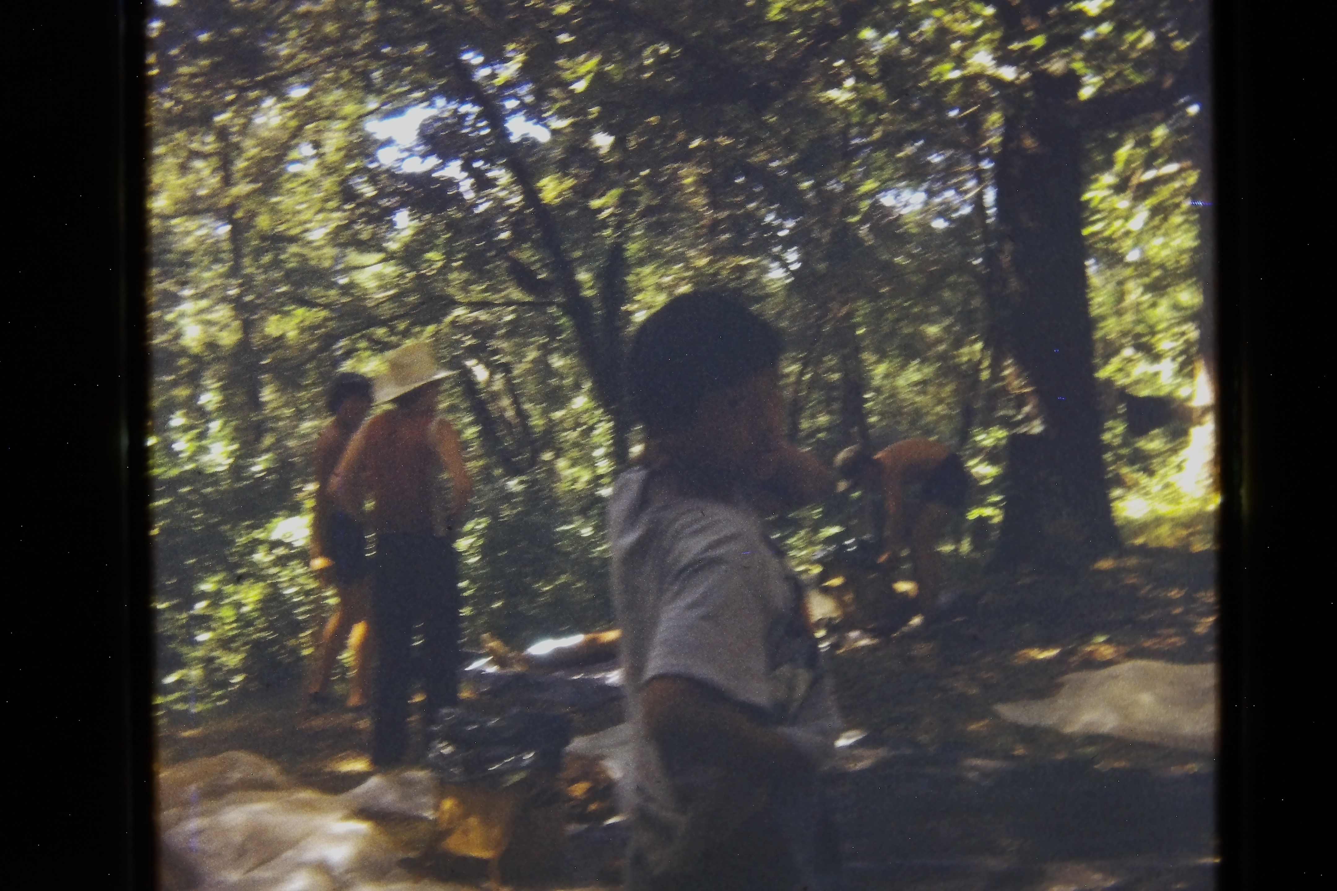 19730400_0374_troop552_camporee