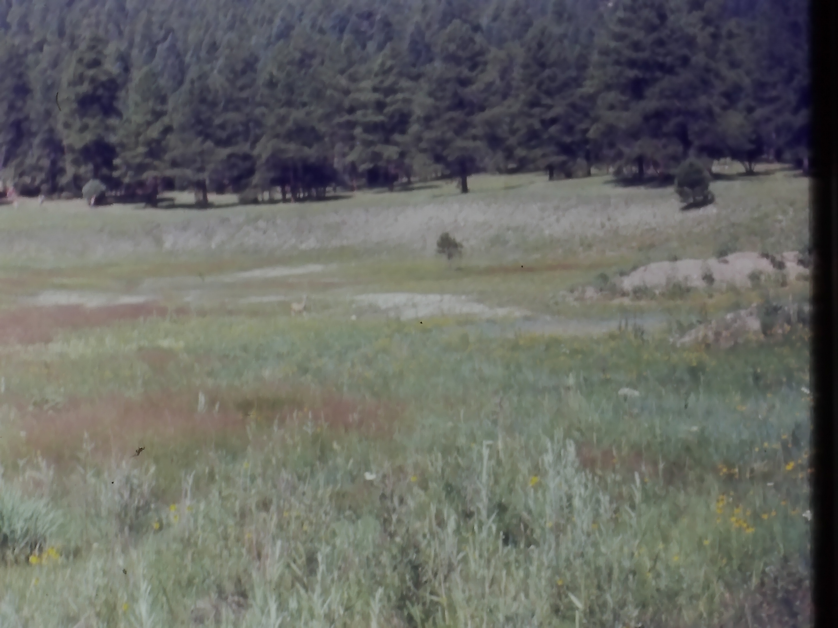 19740700_Philmont_imag0591